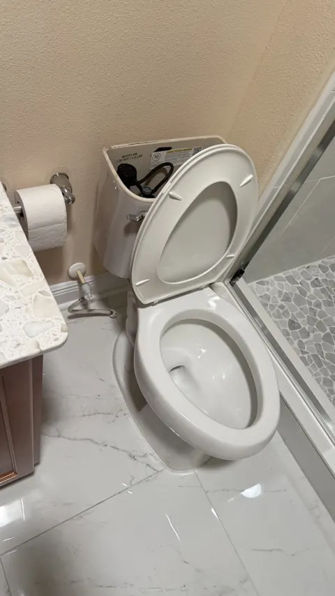 Toilet reset and reconnected after drain cleared, Orlando FL